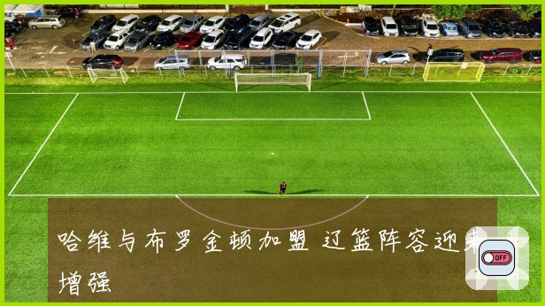 哈维与布罗金顿加盟 辽篮阵容迎来增强